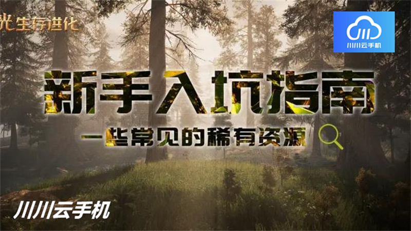 广告位