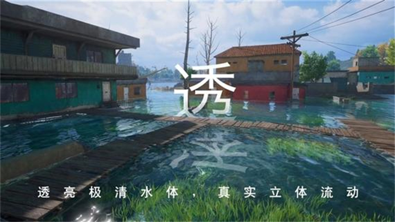 1727972212839.jpg 45.jpg