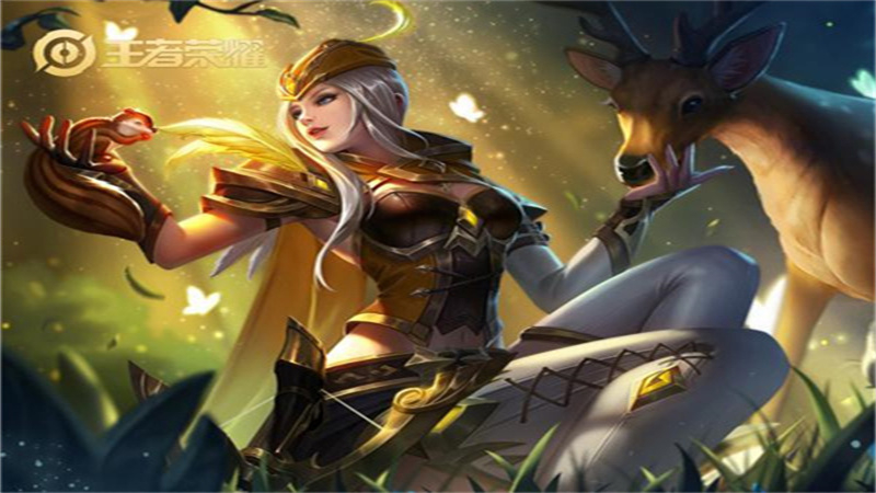 1729413330884.jpg 80.jpg