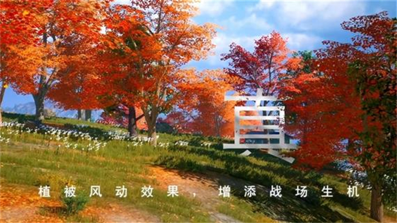 1735543811156.jpg 41.jpg