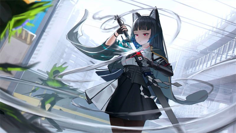 1735799335066.jpg 17.jpg