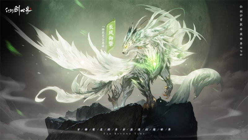 1740393206720.jpg 48.jpg