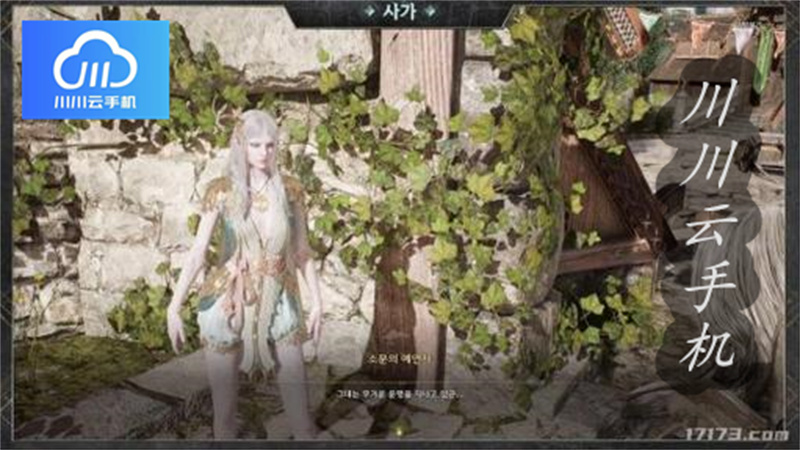 1762149938897.jpg 12.jpg