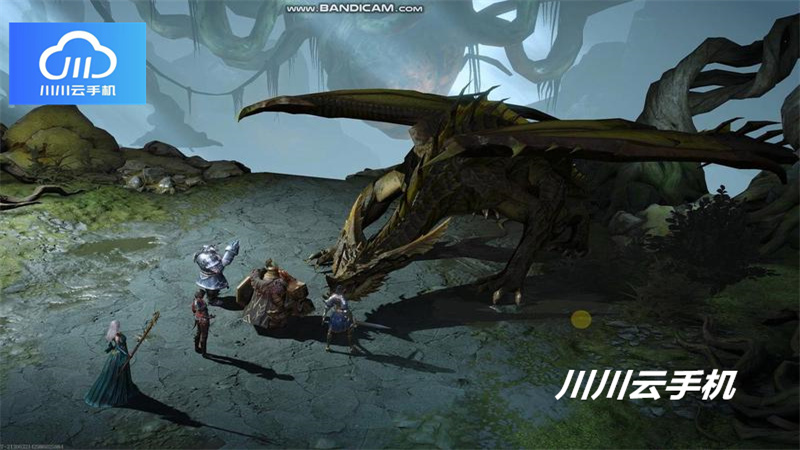 1762699074005.jpg 36.jpg