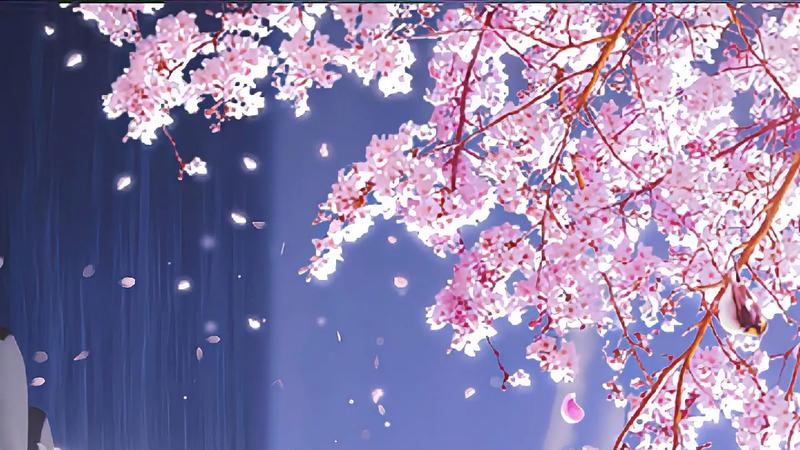 1767422109883.jpg 5.jpg