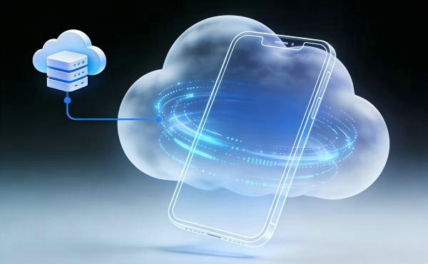 1768818232587.jpg 20260010.jpg