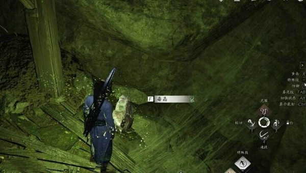 1776238824496.jpg 465dcef3-8a4e-4254-afba-fbef441592f5.jpg